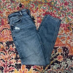 American Eagle Outfitters Blue Straight Leg Jeans